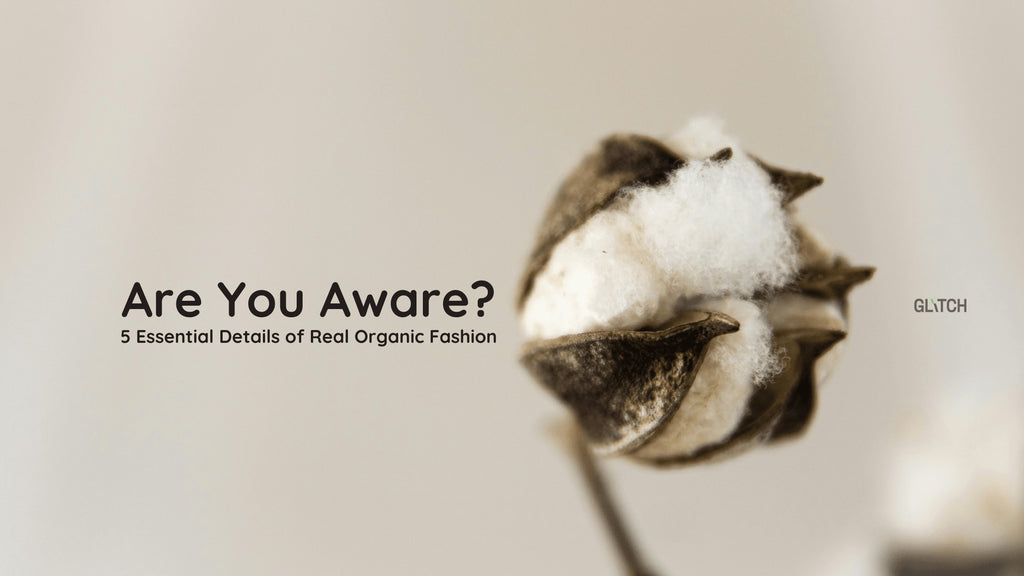 5 Essential Details of Real Organic Fashion—Are You Aware? - Glitch