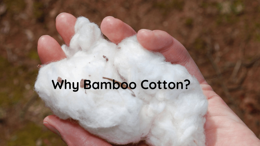 Why Organic Bamboo Clothes Are Perfect for Every Season - Glitch