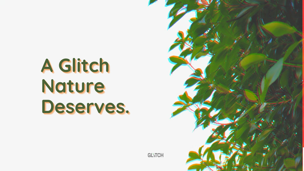 A Glitch Nature Deserves